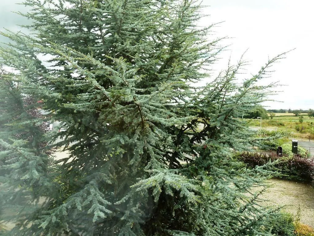 فندق لودج أت ليمينج بار بيدال المملكة المتحدة